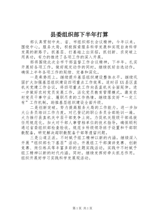 2024年县委组织部下半年打算