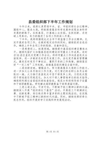 2024年县委组织部下半年工作规划