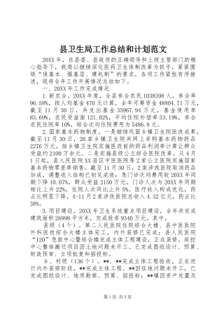 2024年县卫生局工作总结和计划范文
