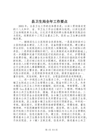 2024年县卫生局全年工作要点