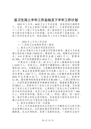 2024年县卫生局上半年工作总结及下半年工作计划
