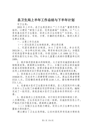 2024年县卫生局上半年工作总结与下半年计划