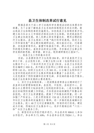 2024年县卫生体制改革试行意见