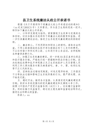 2024年县卫生系统廉洁从政公开承诺书