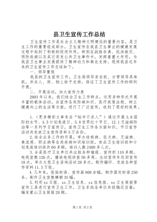 2024年县卫生宣传工作总结