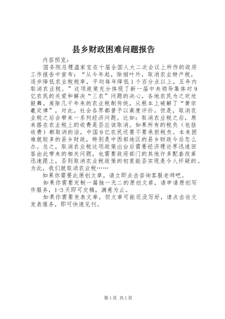 2024年县乡财政困难问题报告