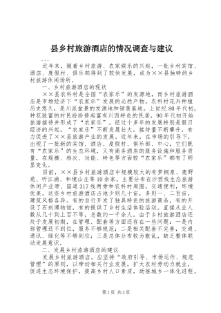 2024年县乡村旅游酒店的情况调查与建议