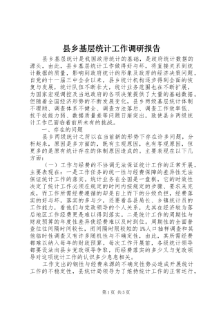 2024年县乡基层统计工作调研报告