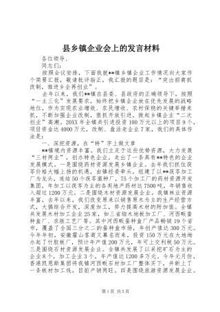2024年县乡镇企业会上的讲话材料