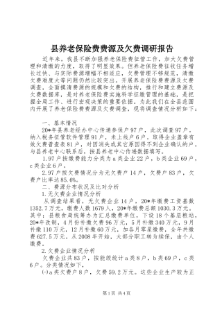 2024年县养老保险费费源及欠费调研报告