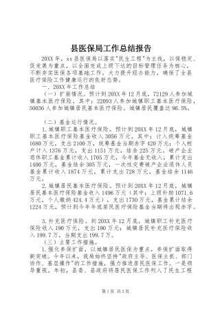 2024年县医保局工作总结报告