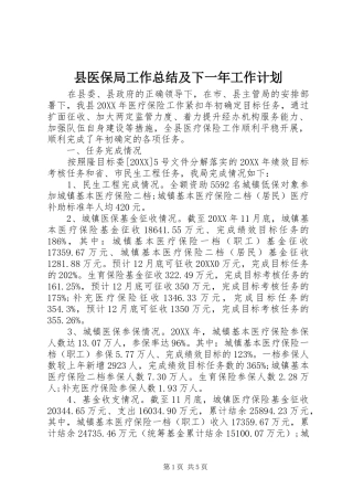 2024年县医保局工作总结及下一年工作计划