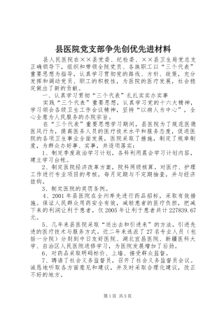 2024年县医院党支部争先创优先进材料