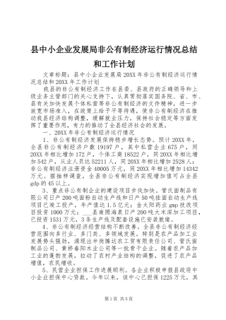 2024年县中小企业发展局非公有制经济运行情况总结和工作计划