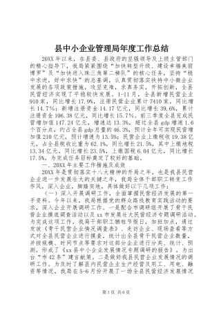 2024年县中小企业管理局年度工作总结