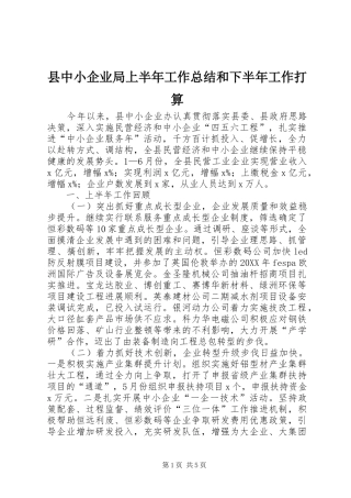 2024年县中小企业局上半年工作总结和下半年工作打算