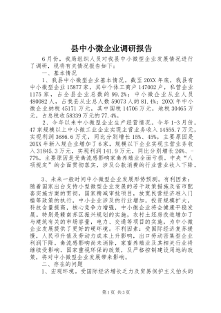 2024年县中小微企业调研报告