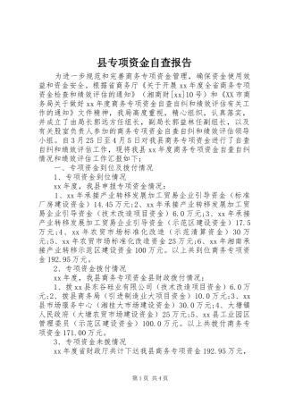 2024年县专项资金自查报告