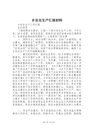2024年乡安全生产汇报材料