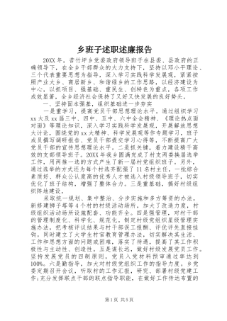 2024年乡班子述职述廉报告