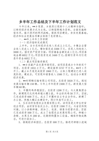 2024年乡半年工作总结及下半年工作计划范文