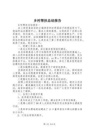 2024年乡村帮扶总结报告