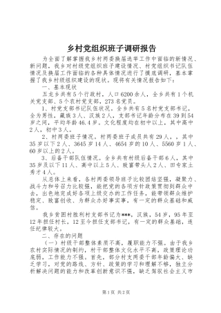 2024年乡村党组织班子调研报告