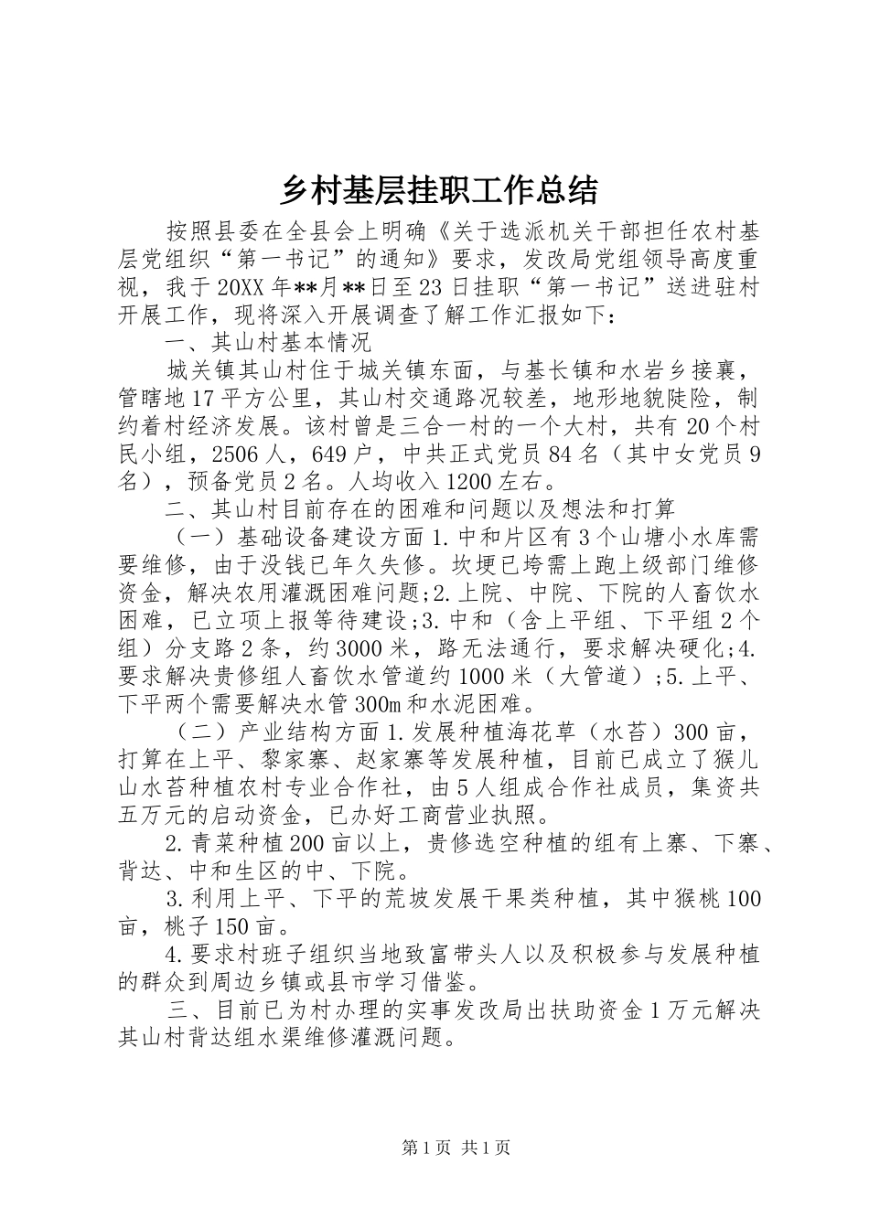 2024年乡村基层挂职工作总结_第1页