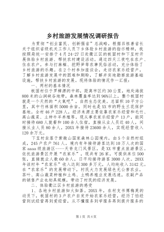 2024年乡村旅游发展情况调研报告