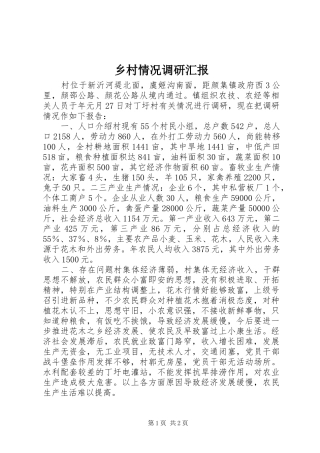 2024年乡村情况调研汇报