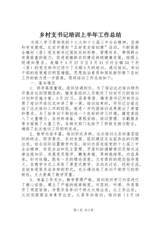 2024年乡村支书记培训上半年工作总结