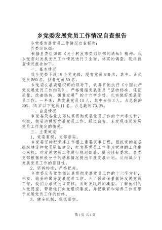 2024年乡党委发展党员工作情况自查报告