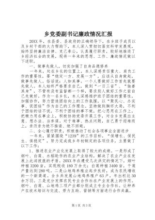 2024年乡党委副书记廉政情况汇报