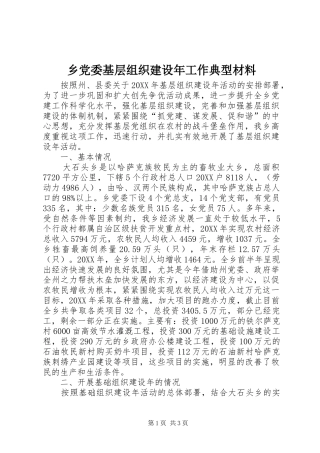 2024年乡党委基层组织建设年工作典型材料