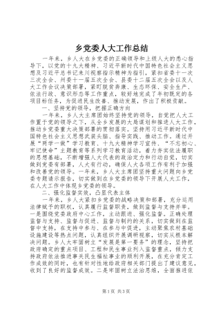 2024年乡党委人大工作总结