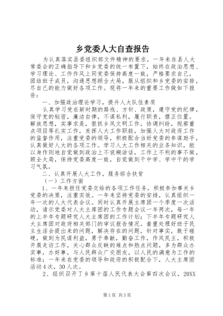 2024年乡党委人大自查报告