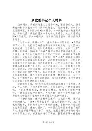 2024年乡党委书记个人材料