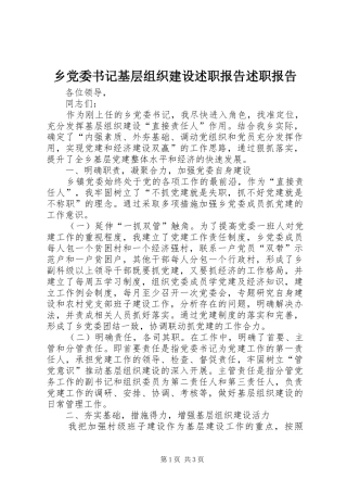 2024年乡党委书记基层组织建设述职报告述职报告