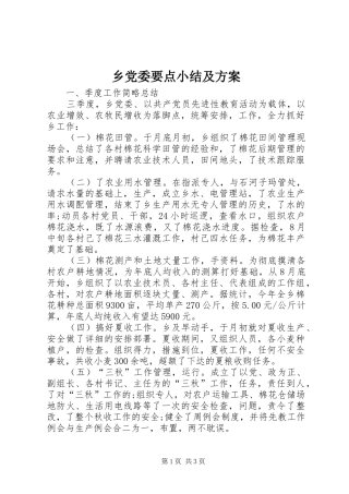 2024年乡党委要点小结及方案