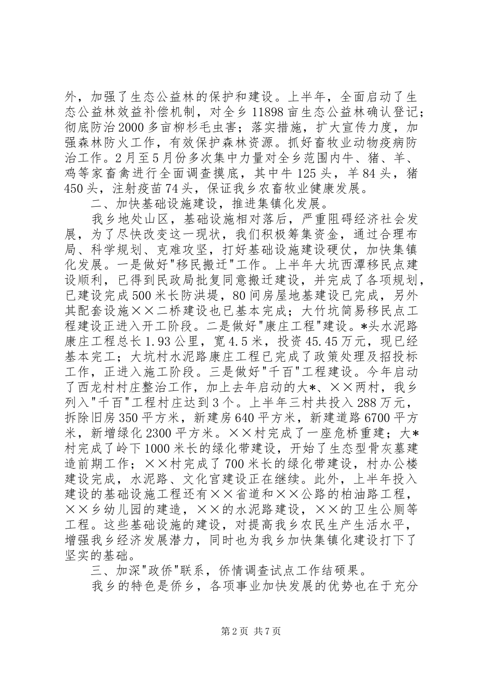 2024年乡党委政府半年度总结_第2页