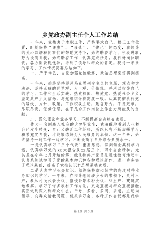 2024年乡党政办副主任个人工作总结