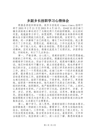 2024年乡副乡长挂职学习心得体会