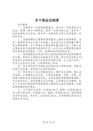 2024年乡干部会议制度