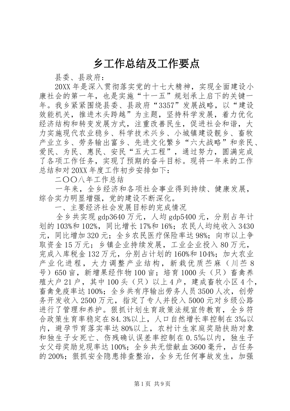 2024年乡工作总结及工作要点_第1页