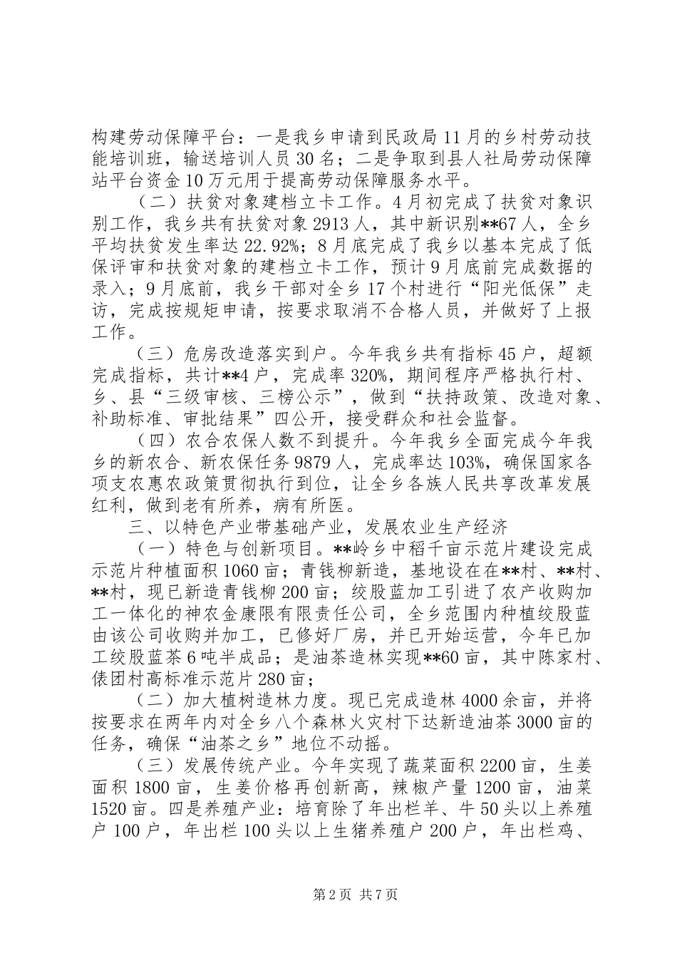 2024年乡工作总结与工作计划_第2页