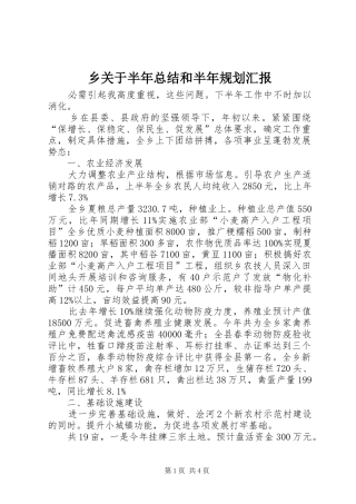 2024年乡关于半年总结和半年规划汇报