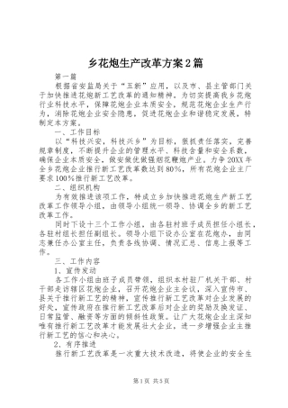 2024年乡花炮生产改革方案篇