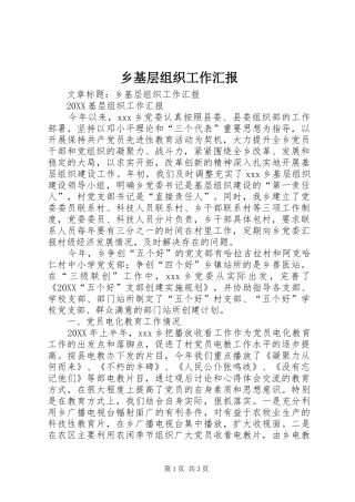 2024年乡基层组织工作汇报