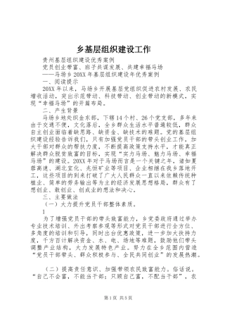 2024年乡基层组织建设工作