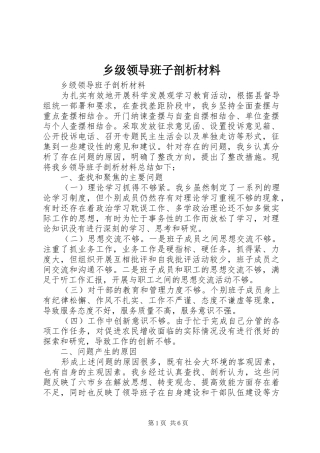 2024年乡级领导班子剖析材料